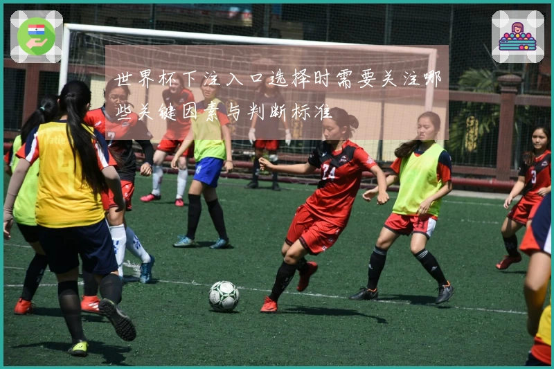 世界杯下注入口选择时需要关注哪些关键因素与判断标准
