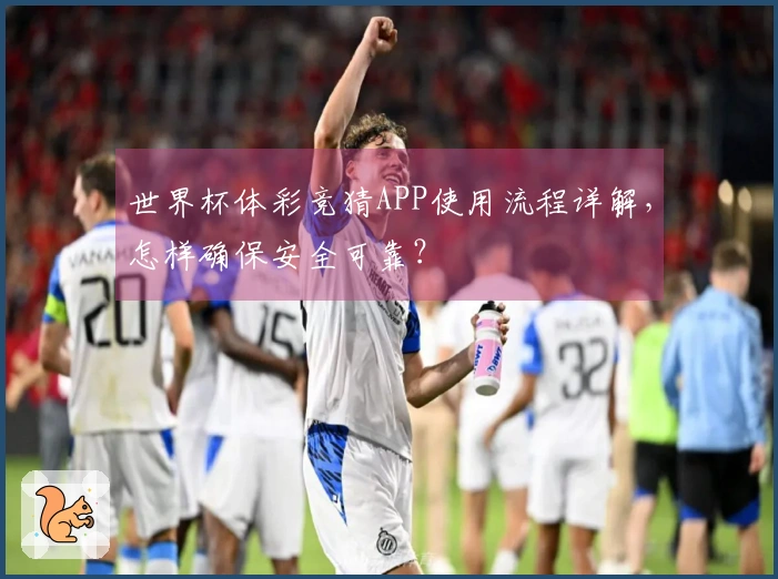 世界杯体彩竞猜APP使用流程详解，怎样确保安全可靠？