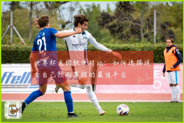 世界杯竞猜软件对比：如何选择适合自己预测赛程的最佳平台