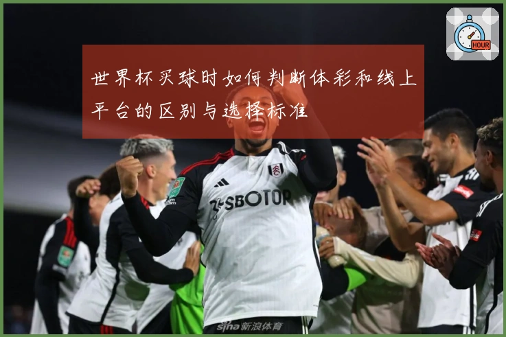 世界杯买球时如何判断体彩和线上平台的区别与选择标准