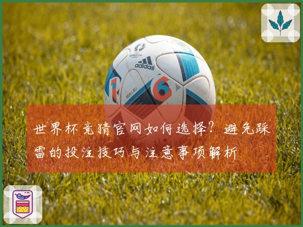 世界杯竞猜官网如何选择？避免踩雷的投注技巧与注意事项解析