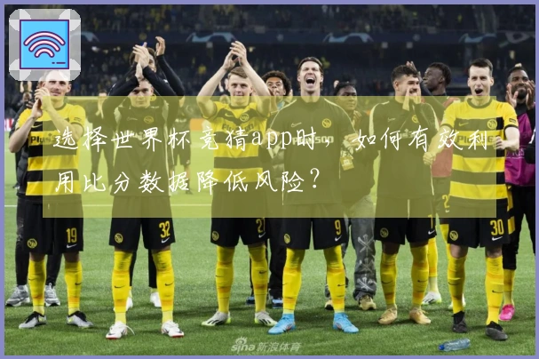 选择世界杯竞猜app时，如何有效利用比分数据降低风险？