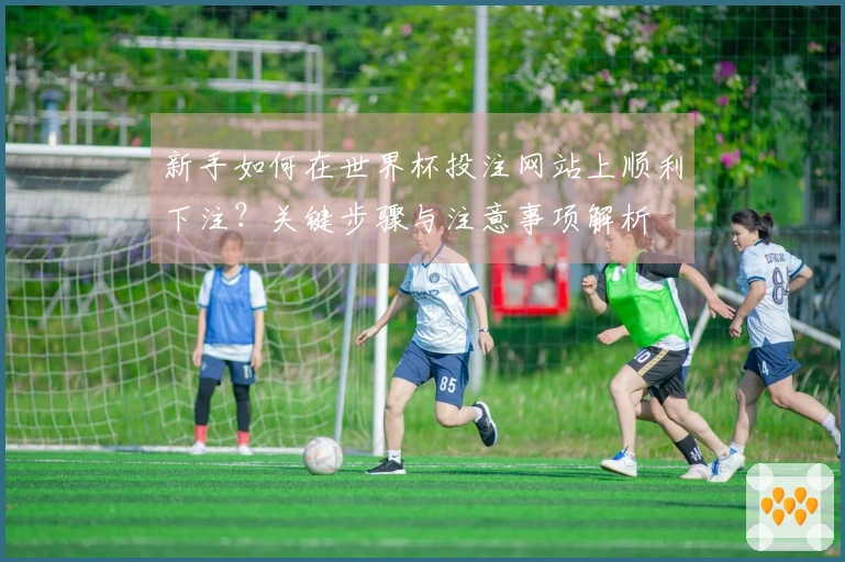 新手如何在世界杯投注网站上顺利下注？关键步骤与注意事项解析