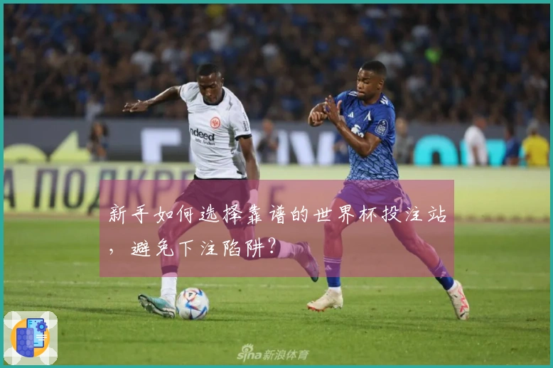新手如何选择靠谱的世界杯投注站，避免下注陷阱？