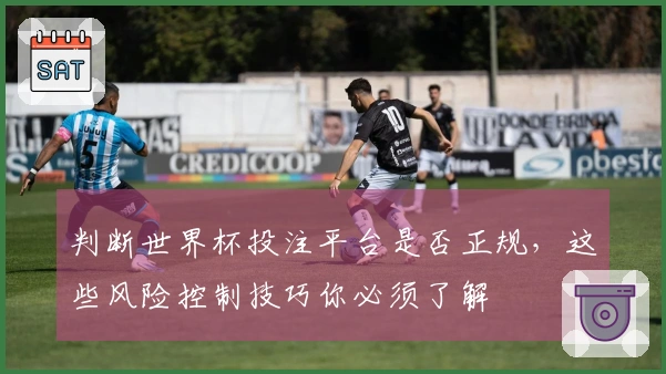 判断世界杯投注平台是否正规，这些风险控制技巧你必须了解