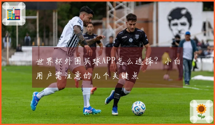 世界杯外围买球APP怎么选择？小白用户需注意的几个关键点