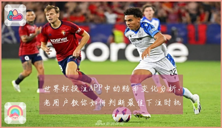 世界杯投注APP中的赔率变化分析，老用户教你如何判断最佳下注时机