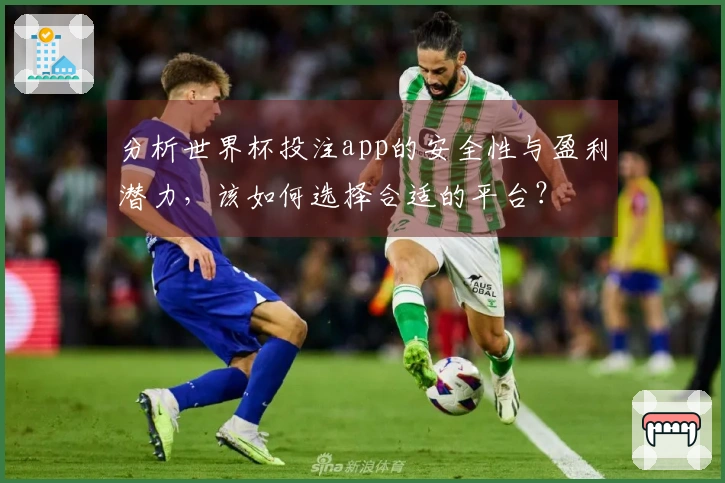 分析世界杯投注app的安全性与盈利潜力，该如何选择合适的平台？
