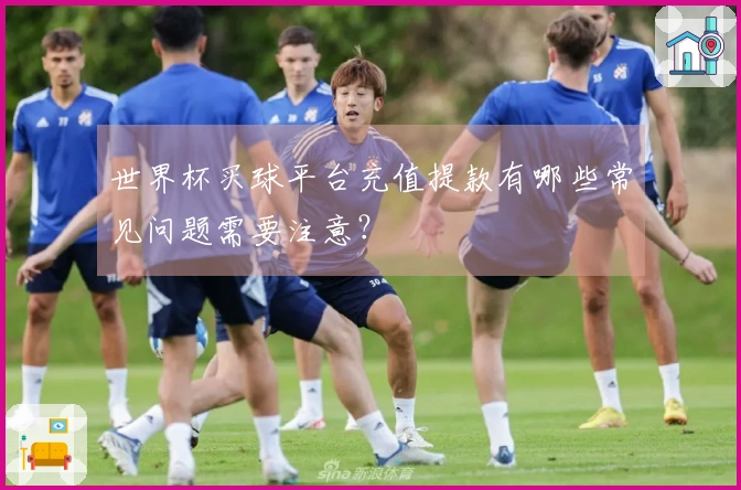 世界杯买球平台充值提款有哪些常见问题需要注意？