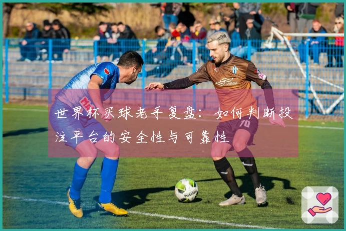 世界杯买球老手复盘：如何判断投注平台的安全性与可靠性