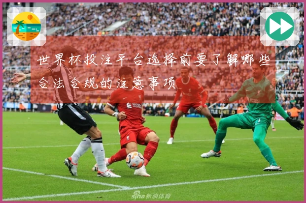 世界杯投注平台选择前要了解哪些合法合规的注意事项