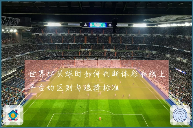 世界杯买球时如何判断体彩和线上平台的区别与选择标准