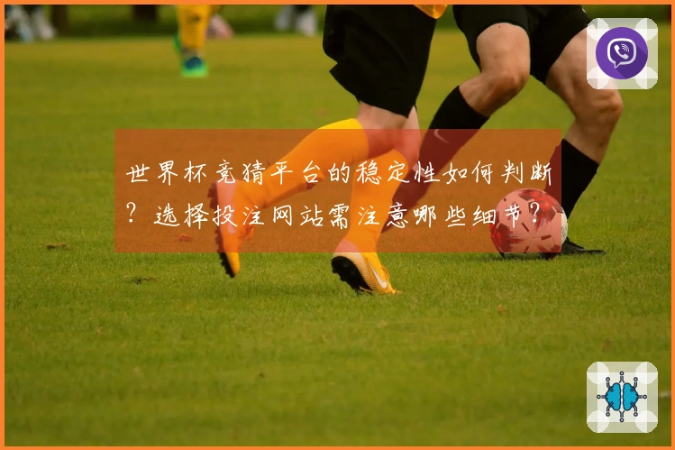 世界杯竞猜平台的稳定性如何判断？选择投注网站需注意哪些细节？