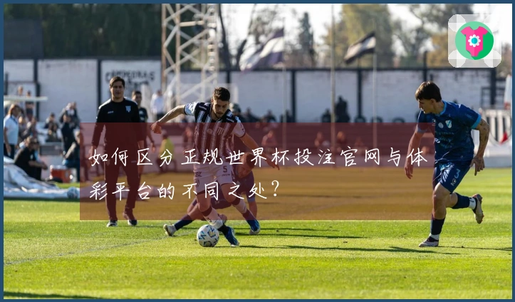 如何区分正规世界杯投注官网与体彩平台的不同之处？