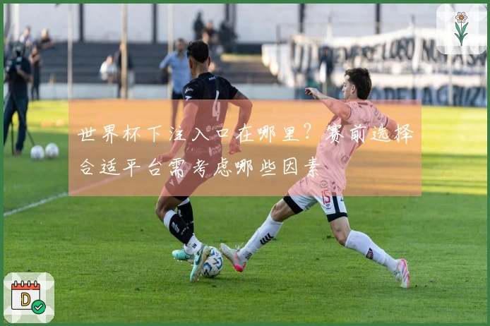 世界杯下注入口在哪里？赛前选择合适平台需考虑哪些因素