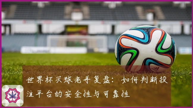 世界杯买球老手复盘：如何判断投注平台的安全性与可靠性