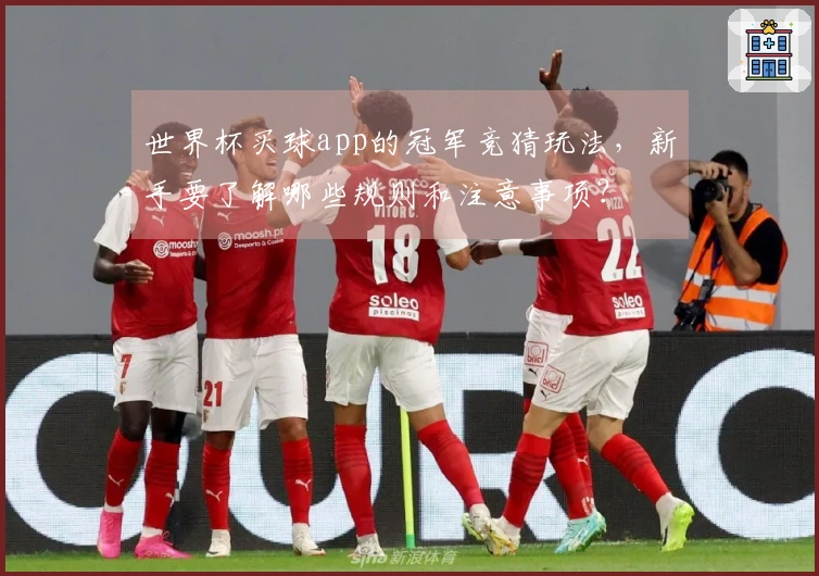 世界杯买球app的冠军竞猜玩法，新手要了解哪些规则和注意事项？