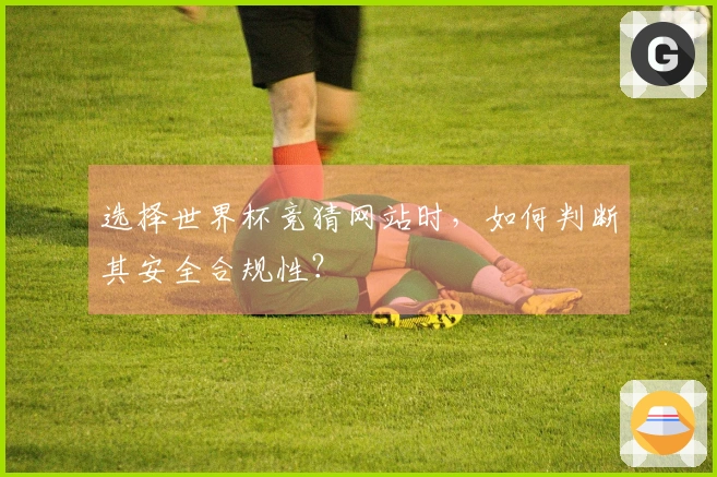 选择世界杯竞猜网站时，如何判断其安全合规性？