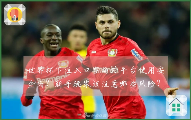 世界杯下注入口在海外平台使用安全吗？新手玩家该注意哪些风险？