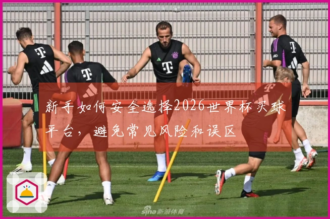新手如何安全选择2026世界杯买球平台，避免常见风险和误区