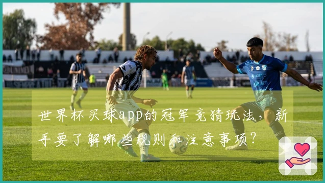 世界杯买球app的冠军竞猜玩法，新手要了解哪些规则和注意事项？