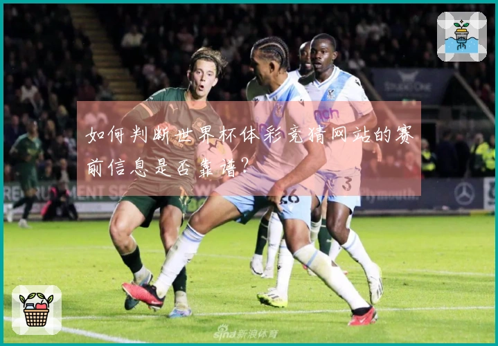 如何判断世界杯体彩竞猜网站的赛前信息是否靠谱？