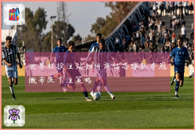 世界杯投注站如何评估各球队夺冠概率及下注策略
