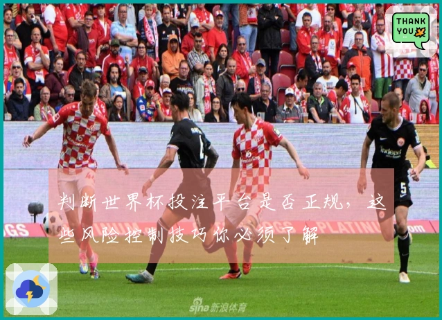判断世界杯投注平台是否正规，这些风险控制技巧你必须了解