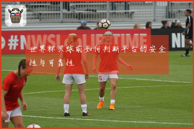 世界杯买球前如何判断平台的安全性与可靠性