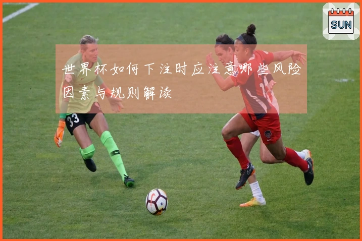 世界杯如何下注时应注意哪些风险因素与规则解读