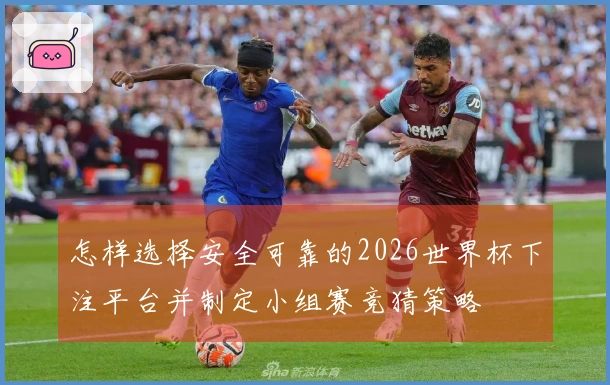 怎样选择安全可靠的2026世界杯下注平台并制定小组赛竞猜策略